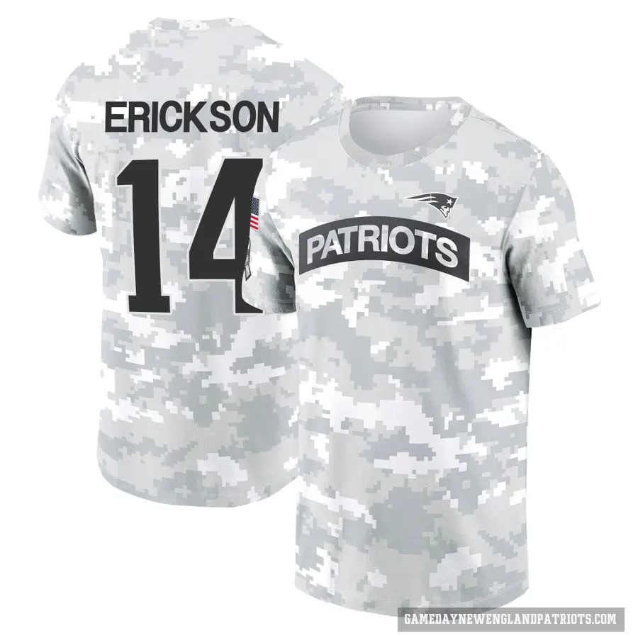 Men's ＃14 Alex Erickson New England Patriots Camo Arctic 2024 Salute to Service Performance T-Shirt